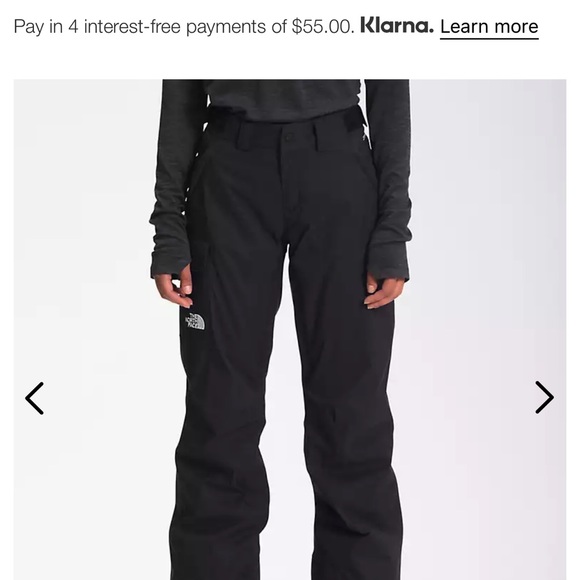 NWT Women’s North Face Ski pants size small - Picture 13 of 15